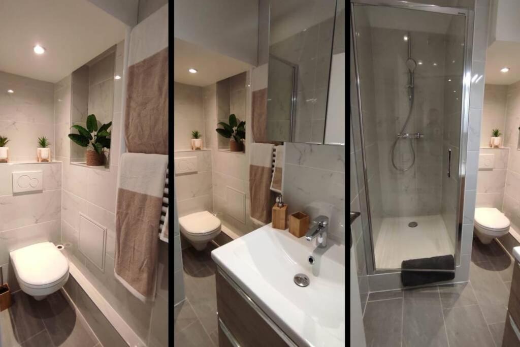 L'Escapade Cosy, Appartement 2 Pers Saint-Nectaire Eksteriør billede